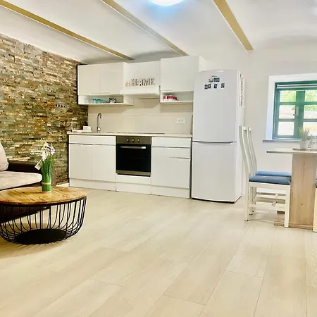 Apartma Elza Apartment Trzic