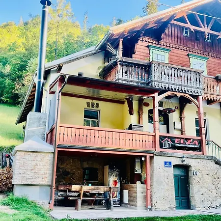 Apartma Elza Apartment Trzic